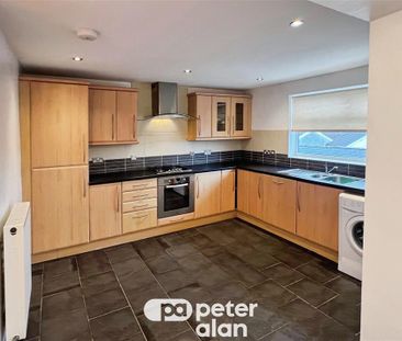 Walter Road, SWANSEA - Photo 6