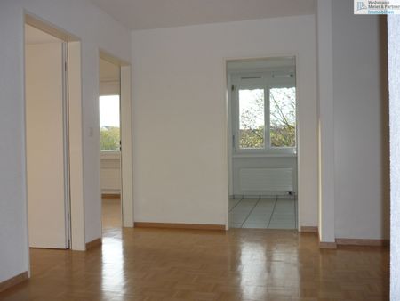 Helle Wohnung am Stadtrand von Dübendorf - Photo 4