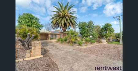 YOUR PERFECT FAMILY ENTERTAINER - Photo 5