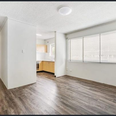 Vibrant 2 Bedroom Unit in Leichhardt - Photo 1