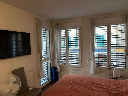 Pleasant furnished studio in the Plainpalais/HUG Hospitals area - Foto 1