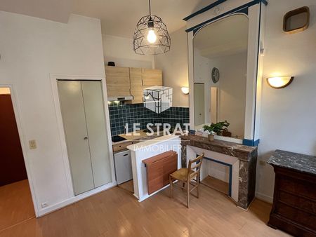 Location Appartement 1 pièce 22m² - Photo 3