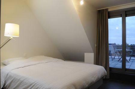 Gemeubeld dakappartement met groot terras - Photo 3