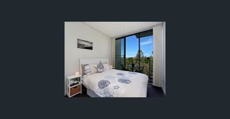 PENTHOUSE City Views, Bush tranquility, Entire Floor of Luxury, No Common Walls, Private Lift. - Photo 5