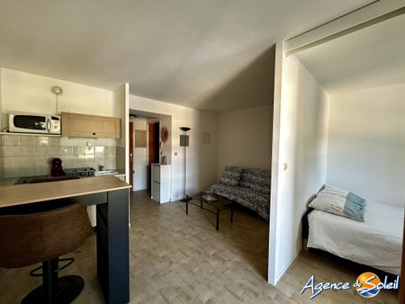 Location Appartement 1 pièce 25m² CANET EN ROUSSILLON 66140 - Photo 3