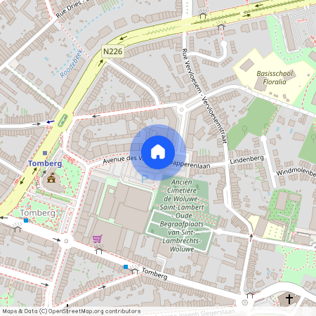 Avenue des Vaillants, 1200, Woluwe-Saint-Lambert