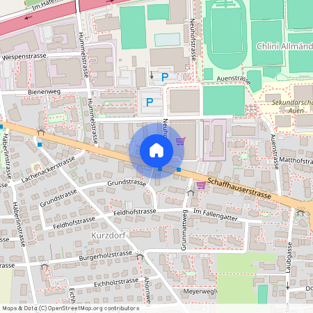 Neuhofstrasse 1, 8500 Frauenfeld