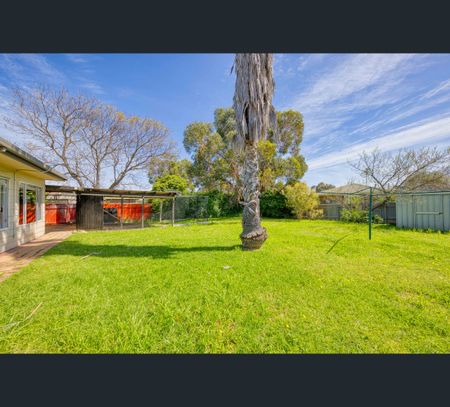 13 Matison Road, Morphett Vale, SA 5162 - Photo 2