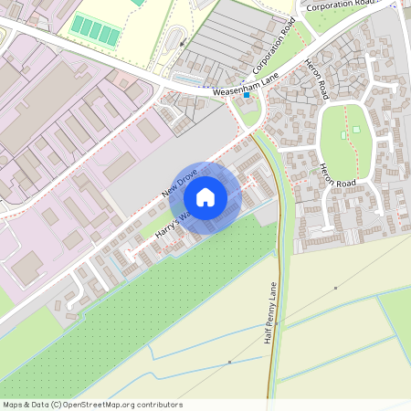 Mikanda Close, WISBECH