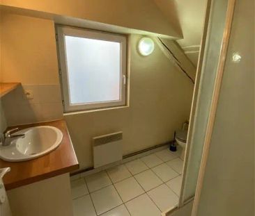 Location appartement 1 pièce - 22.49m² à Grenoble (38000) - Photo 4