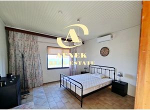 Διαμέρισμα για ενοικίαση - Αρτέμιδα (Λούτσα), - Photo 3