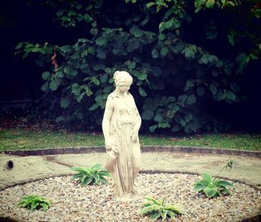 The Street - Photo 4