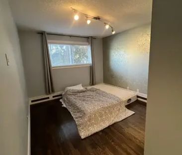 Newly renovated 2 bed condo right off 17th! | 203 - 1530 16 Avenue Southwest, Calgary - Photo 1