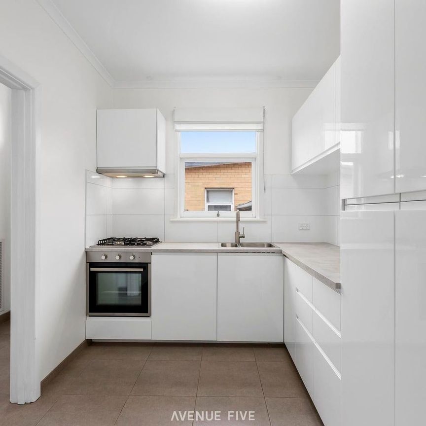 Renovated Delight! - Photo 1