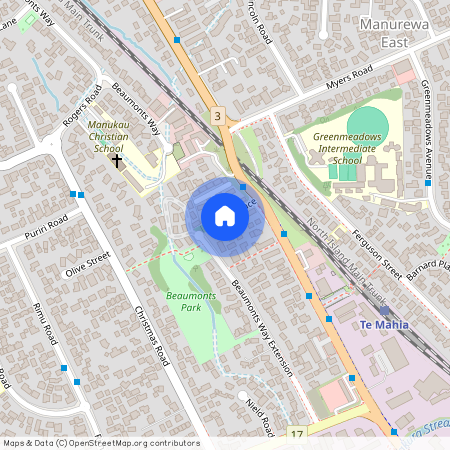 22 Kevale Place, Manurewa, Manukau City