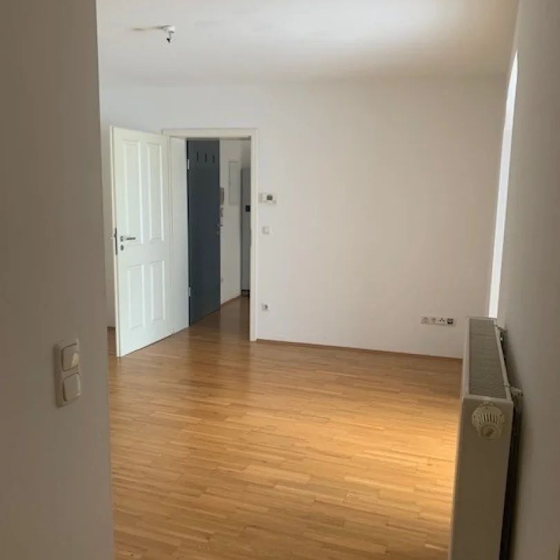 großzügige 2-Zimmer Wohnung mit Terrasse und möblierter Küche - Foto 1