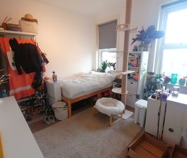 Room in a Shared Flat, Tottenham Lane, N8 - Photo 2