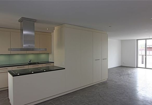 4 ½ Zimmer-Wohnung in Winterthur mieten - Photo 1