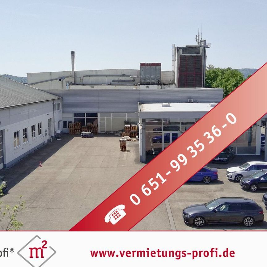 Trier-Euren: Moderne, barrierefreie Halle mit 310 m² – vielseitig nutzbar, große Fensterfront, Glasbüro & neuer moderner Gasheizung - Photo 1