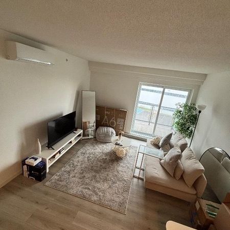 41/2 A LOUER SAINTE FOY ACCEPTE CHIENS - Photo 4