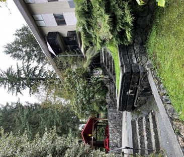 Blueridge Apartments - Photo 5