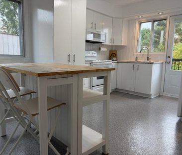 10245 Rue D'Iberville, H2B 2T7, H2B 2T7, Montréal - Photo 3