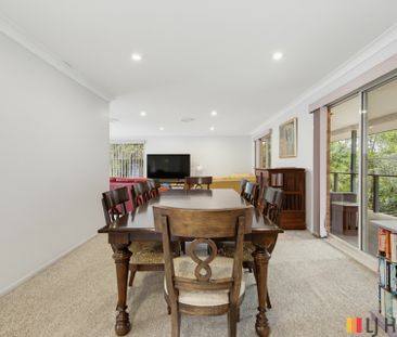 LILLI PILLI NSW - Photo 5
