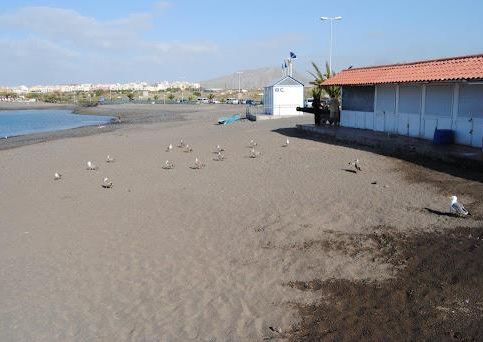 Studio for rent in Costa del Silencio