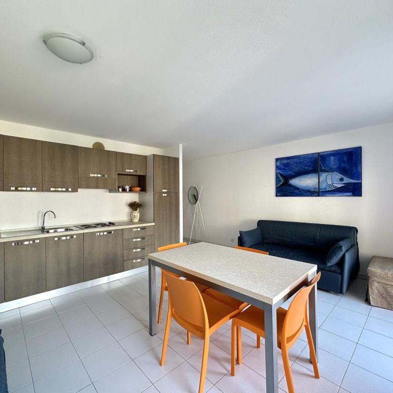 Location Appartement 1 pièce Meublé 35m² ROQUEBRUNE CAP MARTIN 06190 - Photo 1
