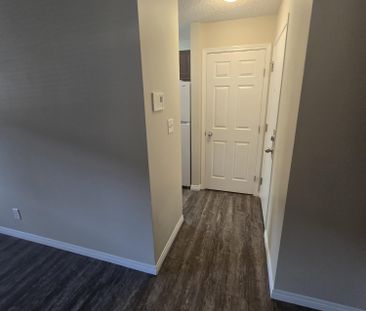 Modern Ground Floor 2 Bedroom in the Heart of Downtown - Photo 3
