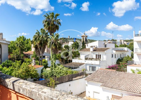 Apartment for rent in Son Armadams