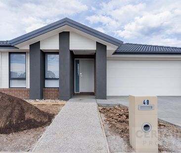 Modern Sleek 1 Bedroom space - Photo 5