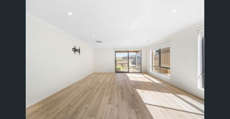 Stylish Modern Living in a Prime Location close to DTC and not far from the City Centre - Photo 2