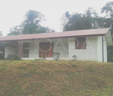 Location Maison 3 pièces 73m² MATOURY 97351 - Photo 3