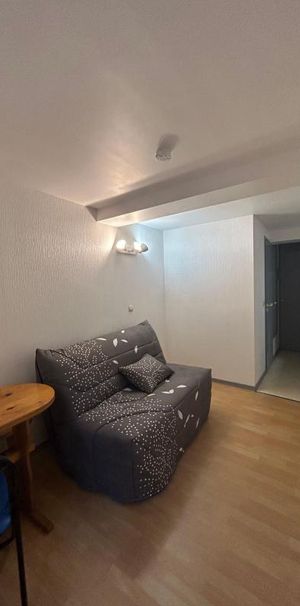 Location Appartement 1 pièce Meublé 15m² AIRE SUR L ADOUR 40800 - Photo 1