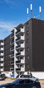 Bloor Street Apartments - Photo 3