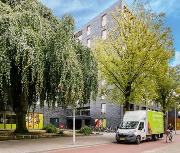 Dr Cuyperslaan - Photo 2