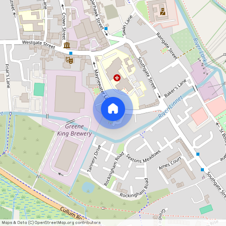 Maynewater Lane, Bury St Edmunds, IP33