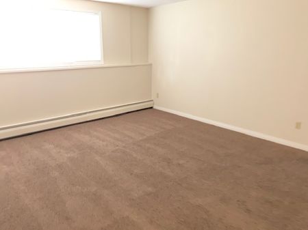STUDIO ON THE 1ST FLOOR IN DOWNTOWN RED DEER! 2 Weeks Free Rent - Photo 3