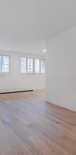 1 CH - 1 SDB - St-Laurent - $1,495 /mo - Photo 1