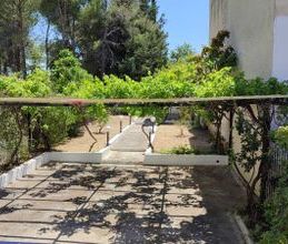 Μονοκατοικία για ενοικίαση - Μαρκόπουλο Ωρωπού, - Φωτογραφία 6