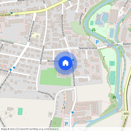 Walzmühlestrasse 30, 8500, Frauenfeld