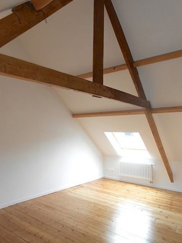 Subliem gerenoveerde authentieke herenwoning met tuin (30 m2) - Photo 3