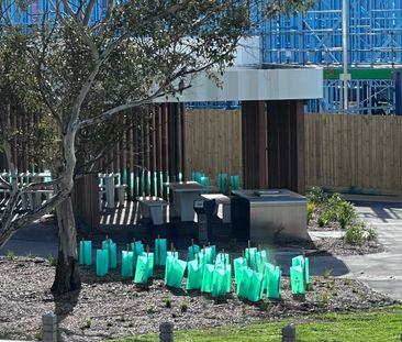 Sunshine North - Photo 5