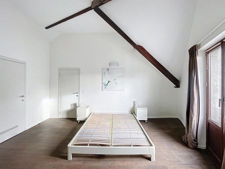 Congress / Parc Royal: Super furnished 2 bedroom apartment - Photo 5