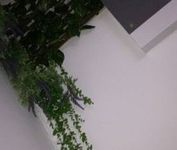 Συγκρότημα για ενοικίαση - Μάνδρα, - Photo 5