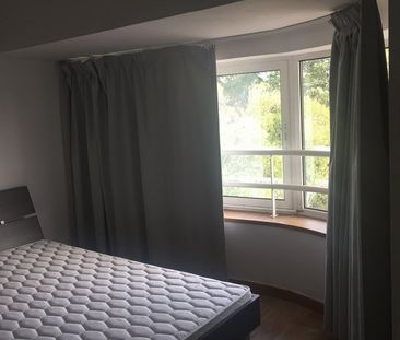 Location Appartement 2 pièces 36m² BLAGNAC 31700 - Photo 3