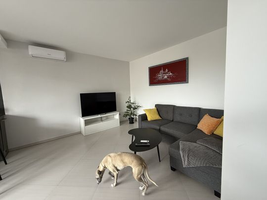 MIESZKANIE na WYNAJEM - Photo 1