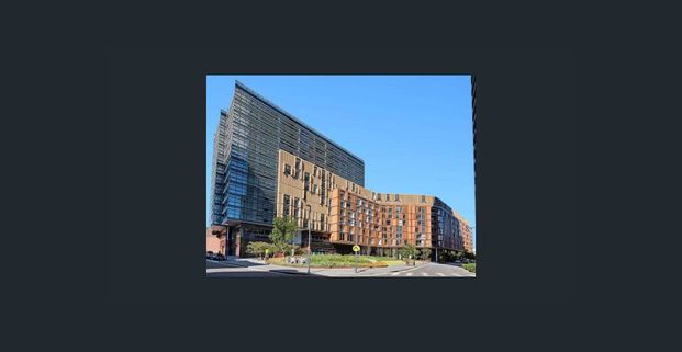 Fully Furnished 2 Bed 2 Bath in Chippendale Available Now! - Photo 1