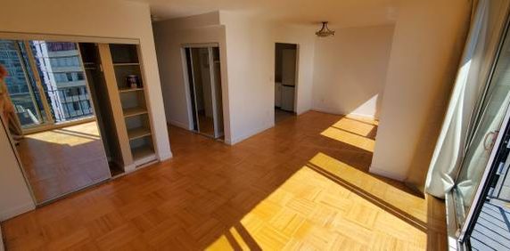 Large Bright Pet Friendly Studio available Dec. 15th - Photo 2